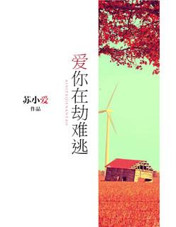 爱在劫难逃短剧免费观看