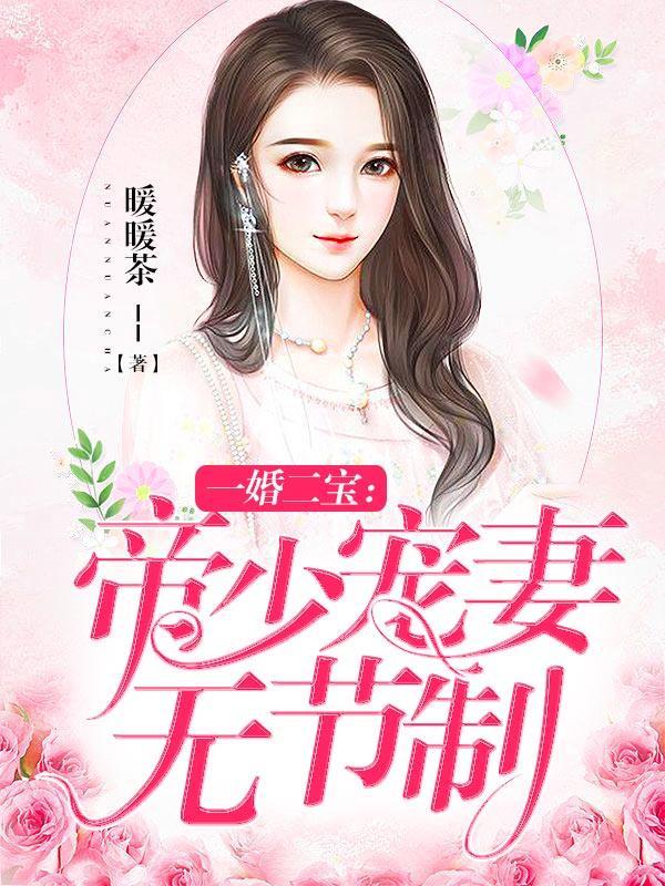 一婚二宝:帝少宠妻无节制 一婚二宝:帝少宠妻无节制